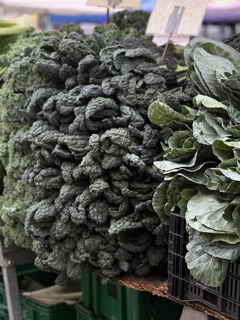 Vibrant display of kale and collard greens at a local farmers market.